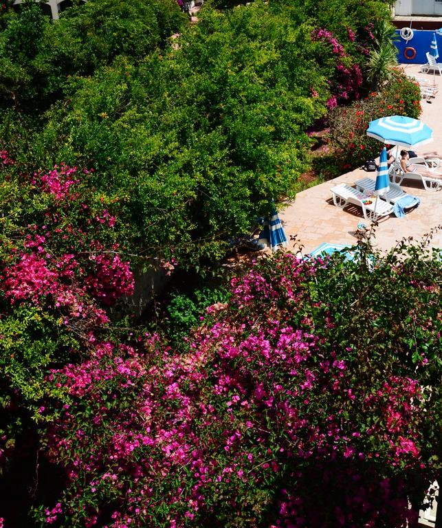 Residence Eucalipti Альгеро Экстерьер фото